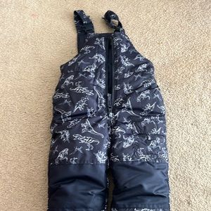 Toddler snow pants, dinosaur snow pants